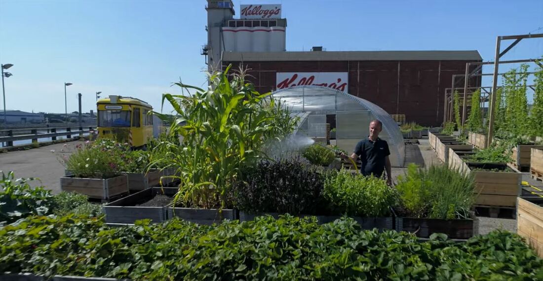 Urban gardening Project "Gemüsewerft" on the Überseeinsel