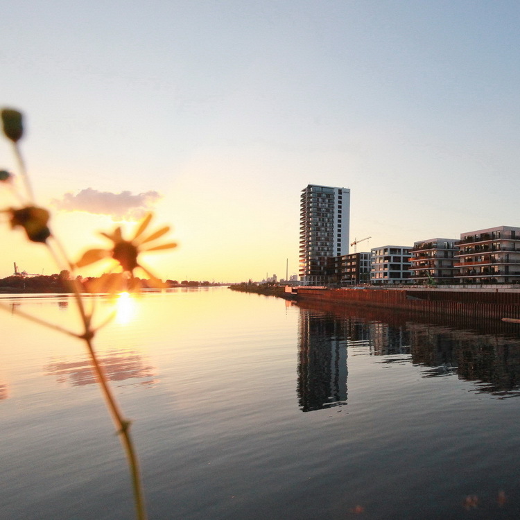 Sonnenuntergang am Landmark Tower