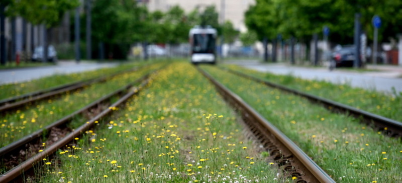 Straßenbahnschinen in der Überseestadt Straßenbahnschinen in der Überseestadt