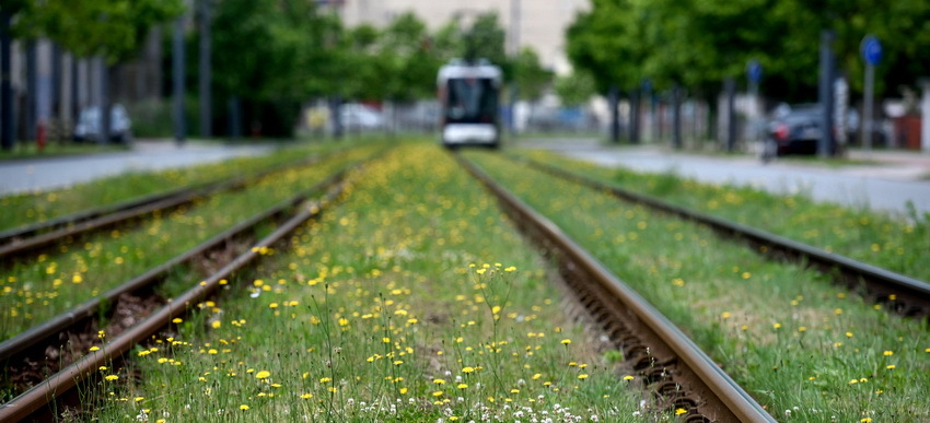 Straßenbahnschinen in der Überseestadt