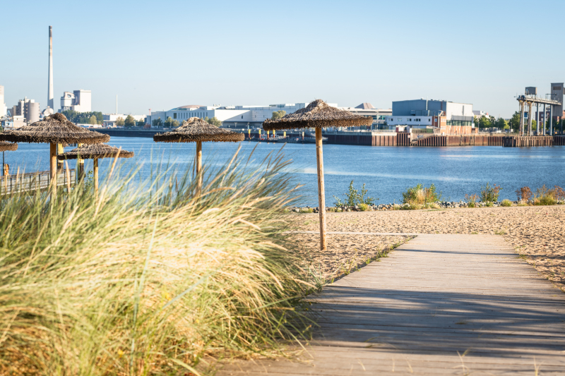 Das Bild zeigt eine sonnige Szene am Waller Sand. Ein Holzweg führt durch helle Dünengräser zu einem Strandbereich am Wasser. Im Sand stehen mehrere strohgedeckte Sonnenschirme. Im Hintergrund ist das gegenüberliegende Ufer mit modernen Gebäuden und Hafenstrukturen zu sehen. Der Himmel ist klar und blau, das Licht wirkt warm und sommerlich. Die Atmosphäre ist ruhig und freundlich, typisch für einen urbanen Erholungsort am Wasser.