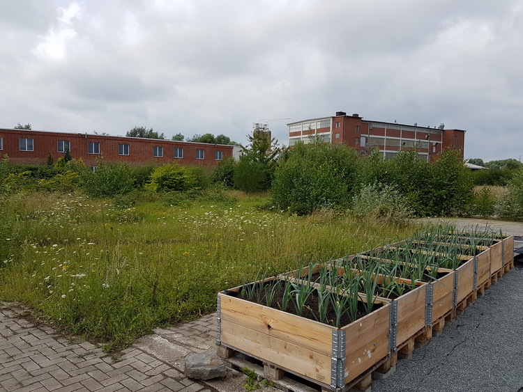 Platz ist noch da – und der soll die kommenden Jahre ebenfalls genutzt werden Platz ist noch da – und der soll die kommenden Jahre ebenfalls genutzt werden
